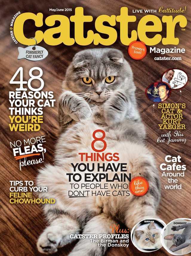 cover of the first issue of catster magazine