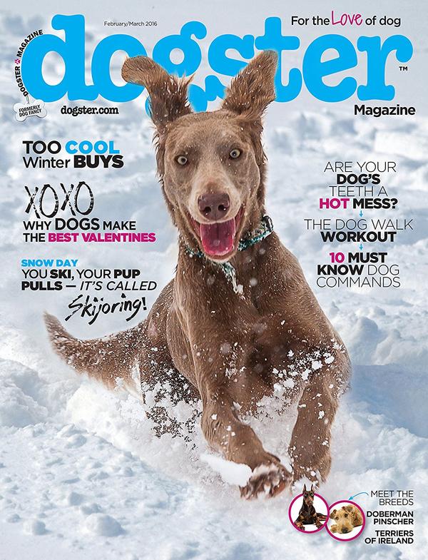 Dogster Magazine TopMags